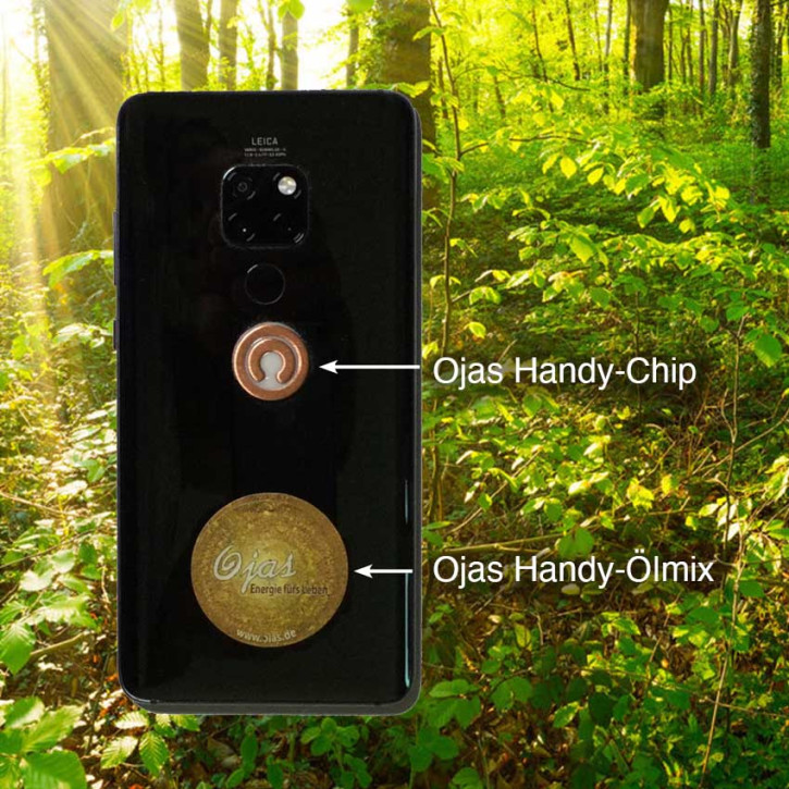 Ojas Handy Chip-Set